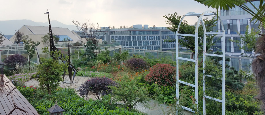 南京萬(wàn)通城市建設設計院弱電系統項目案例。